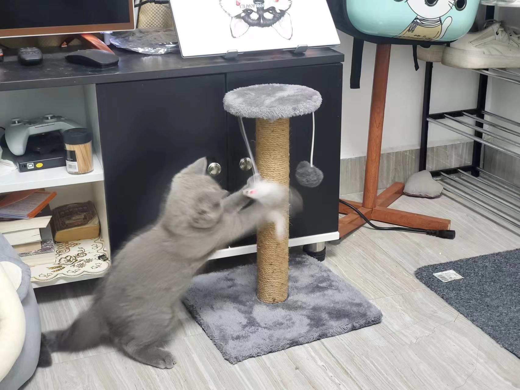 28小时候系列之我要游戏