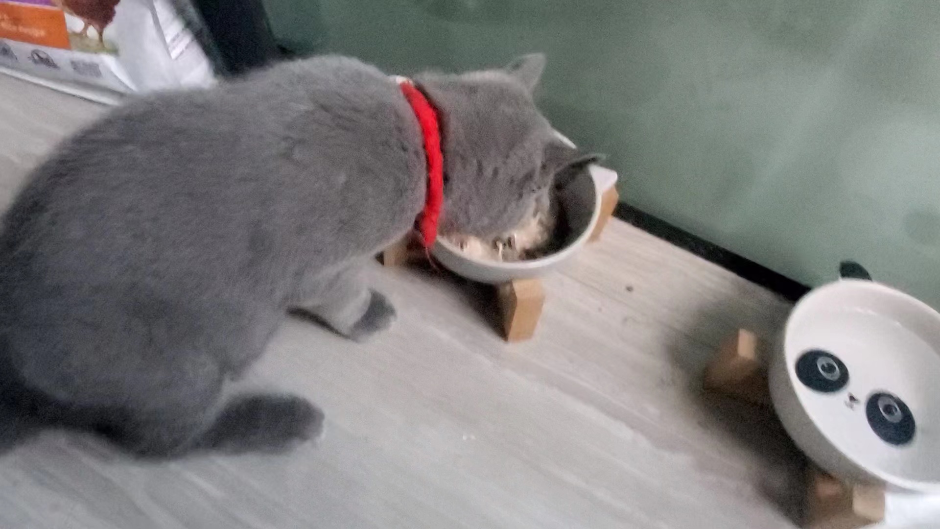 28小时候系列之我要干饭