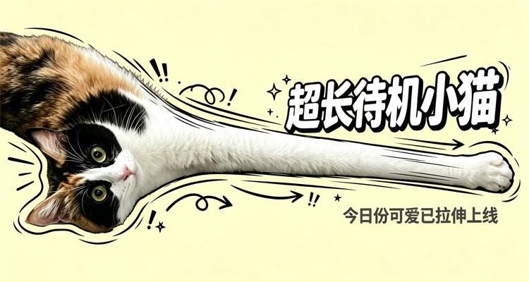 二八崽和花花崽的表情包已上线