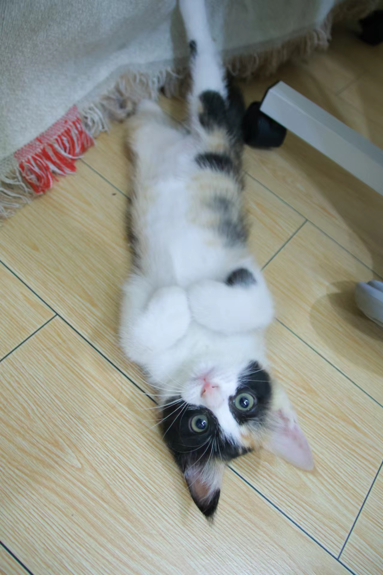 max