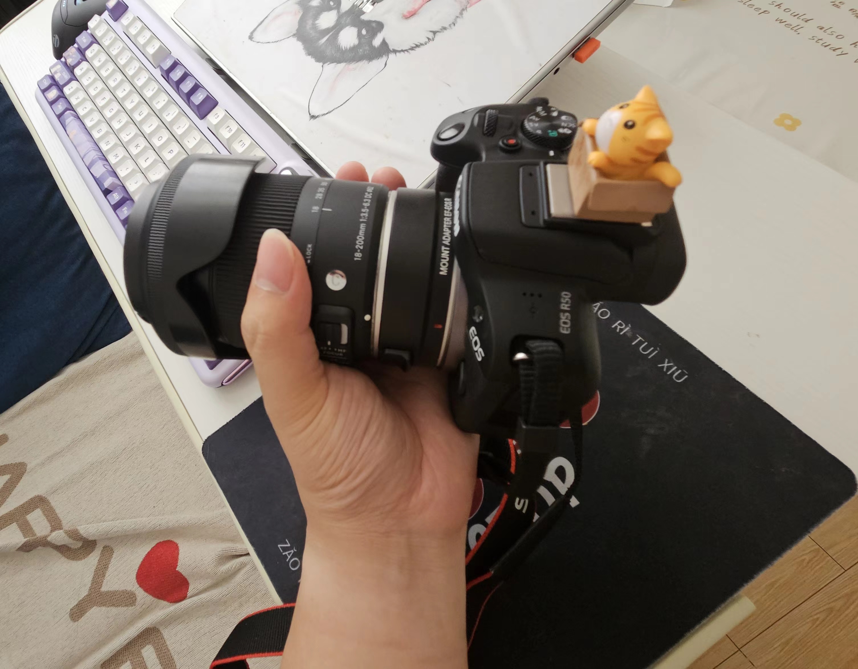 新的挂机镜头： 适马18-200mm三代C标