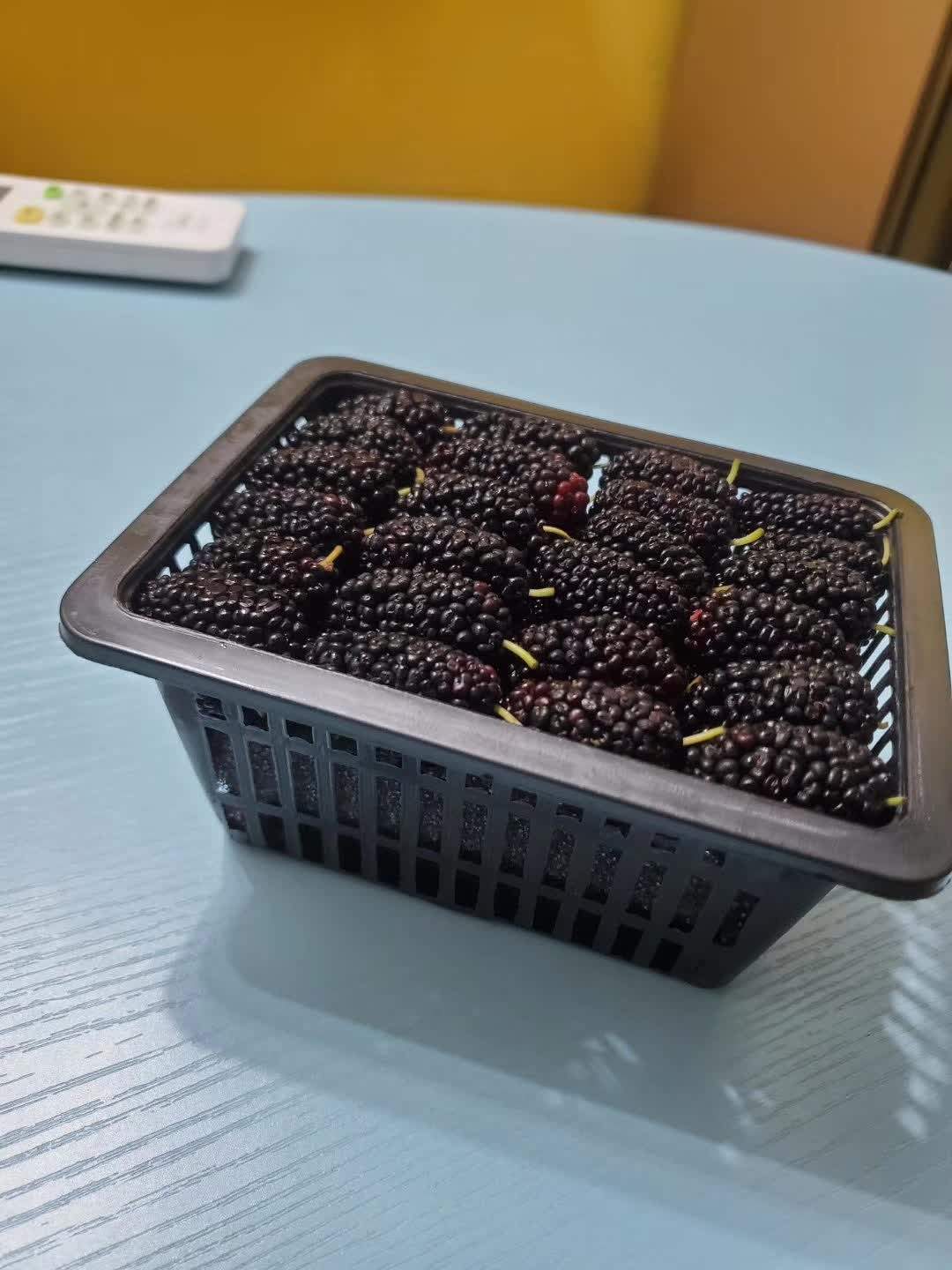这桑葚让我直呼上当受骗