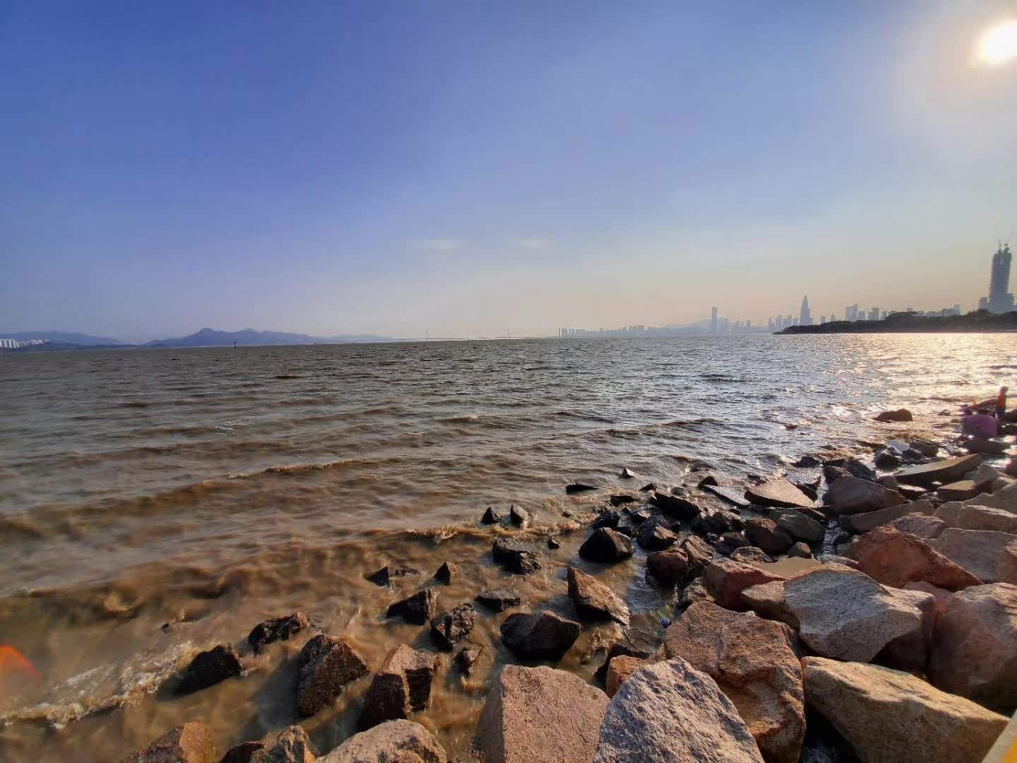 深圳湾公园转转