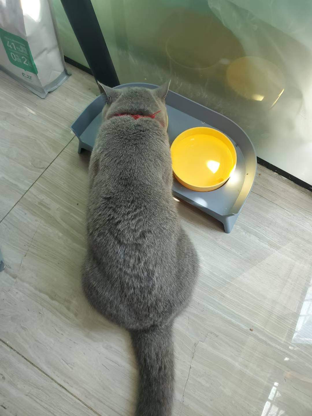 一起吃午饭