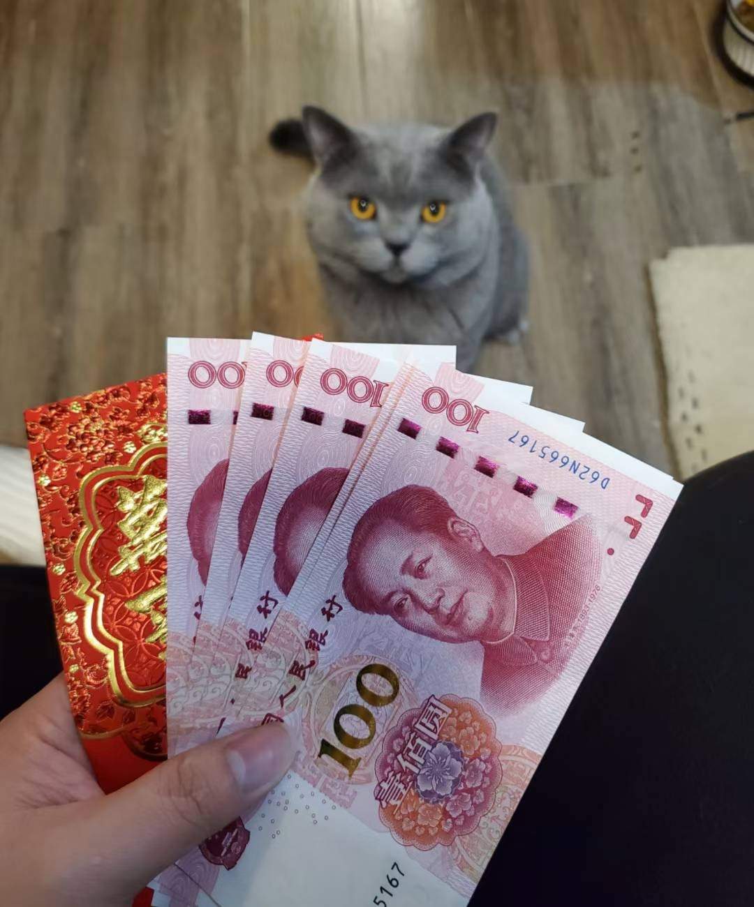开工大吉~